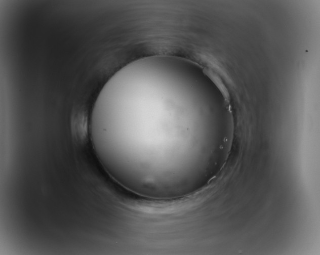 X0000088580021200705251147