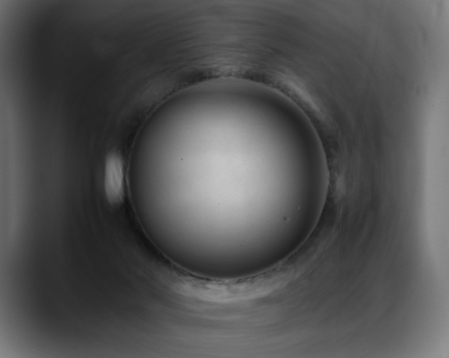 X0000088580022200705251147