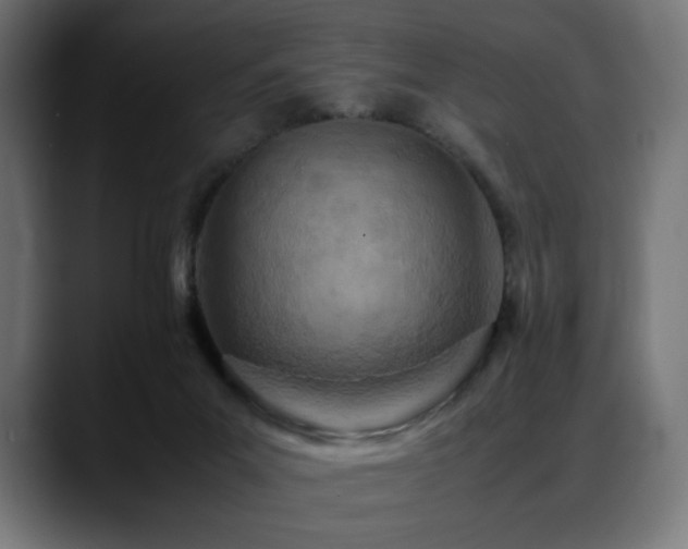 X0000088580023200705251147