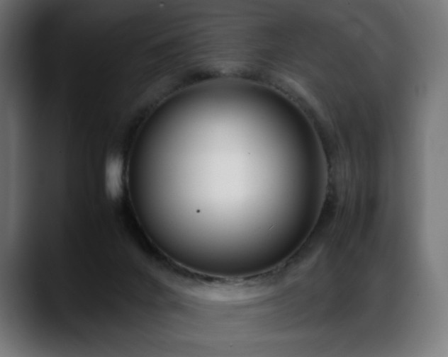 X0000088580024200705251147