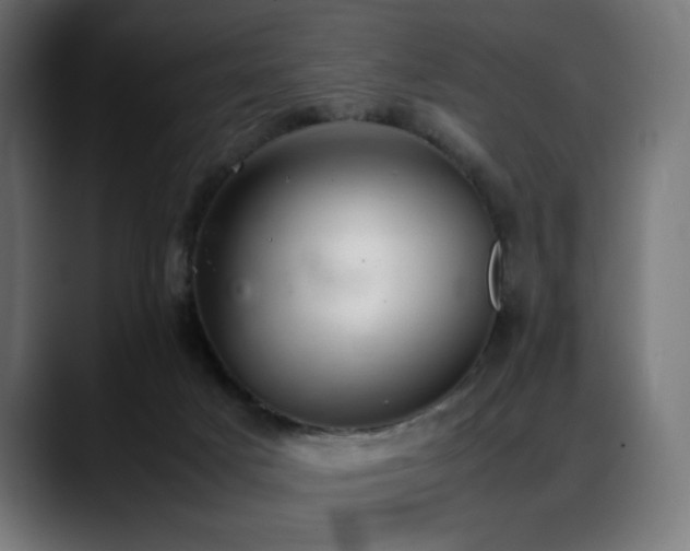 X0000088580025200705251147