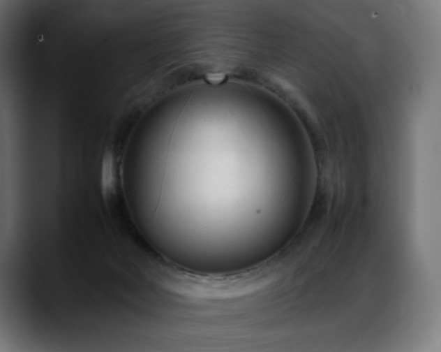 X0000088580026200705251147