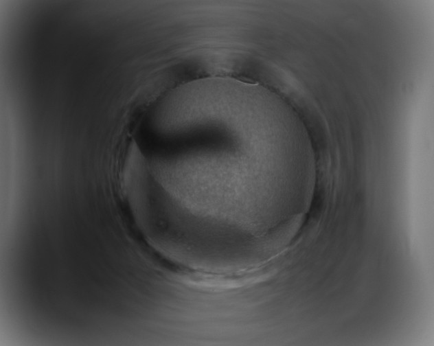 X0000088580029200705251147