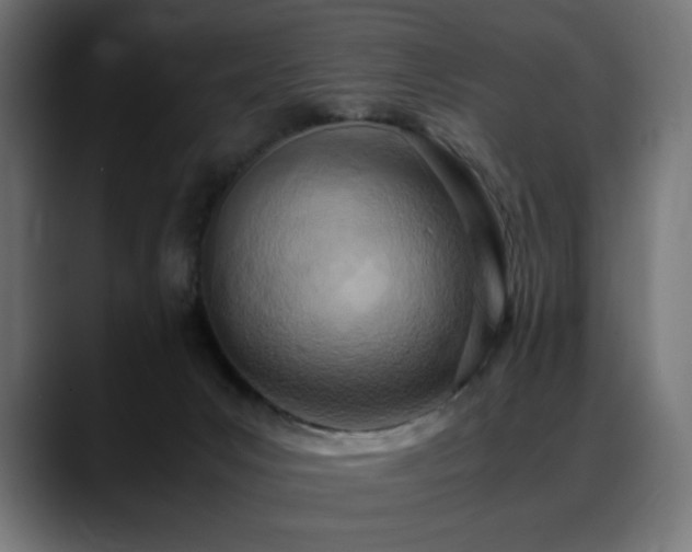 X0000088580031200705251147