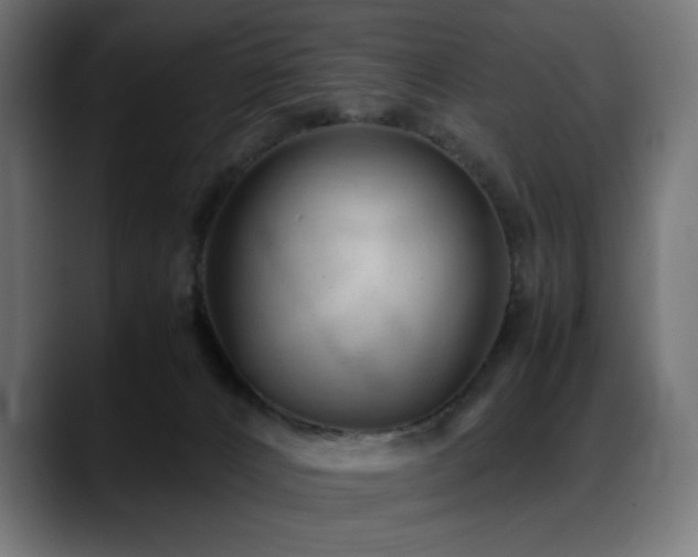 X0000088580032200705251147