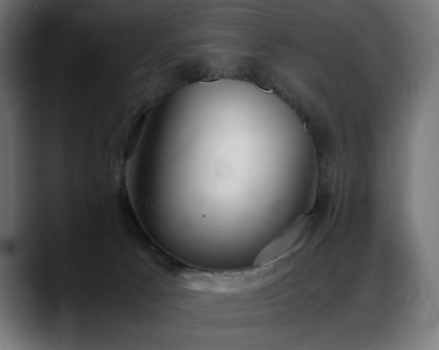 X0000088580033200705251147