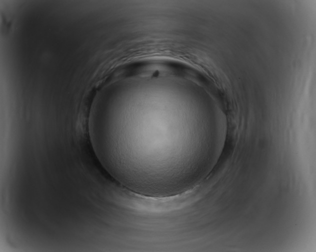 X0000088580035200705251147