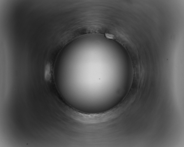 X0000088580038200705251147