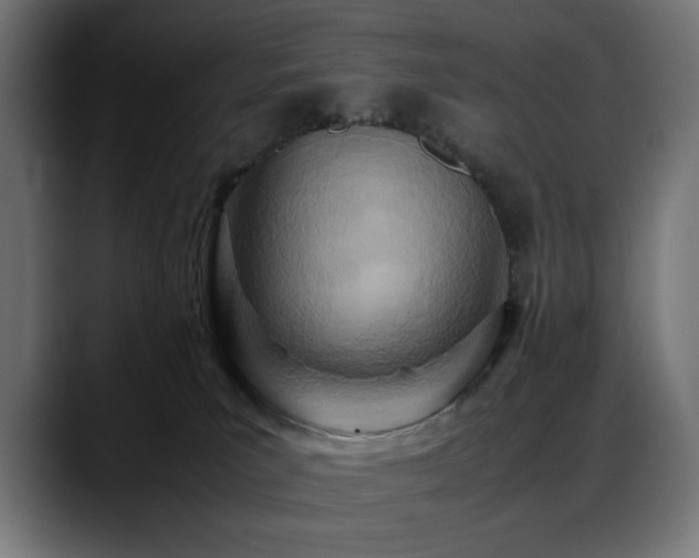 X0000088580039200705251147