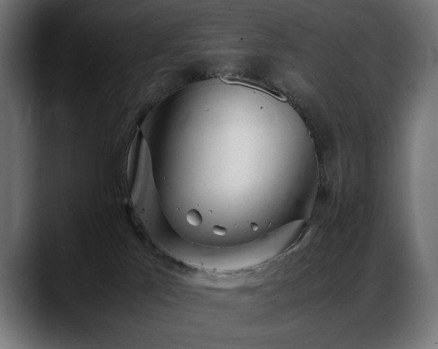 X0000088580041200705251147