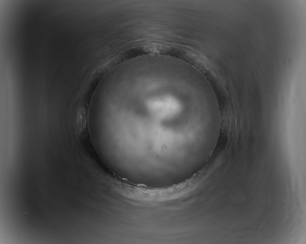 X0000088580043200705251147