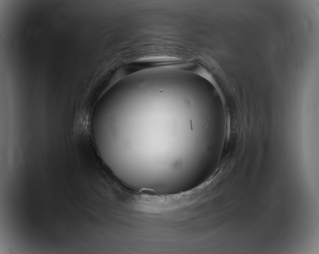 X0000088580045200705251146