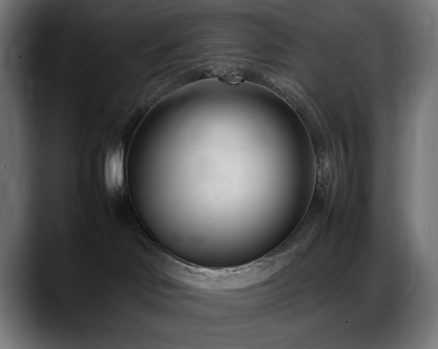 X0000088580046200705251146