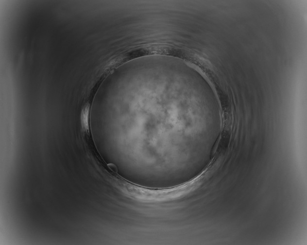 X0000088580047200705251146