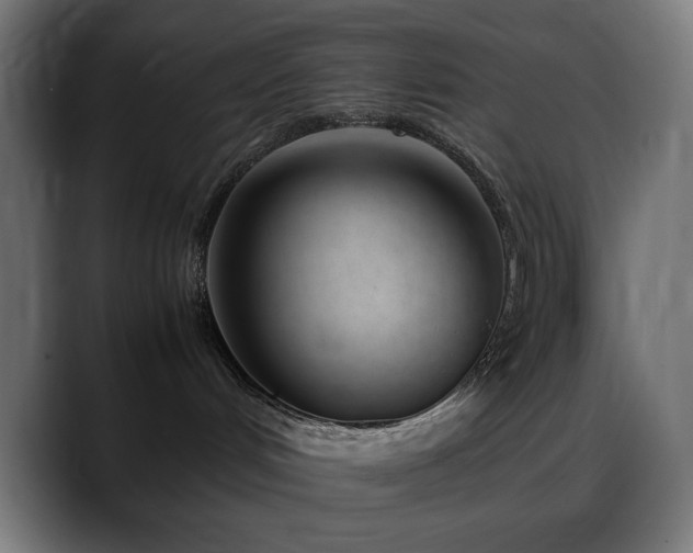 X0000088580048200705251146