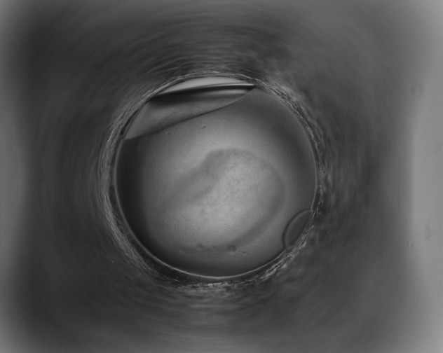 X0000088580049200705251146