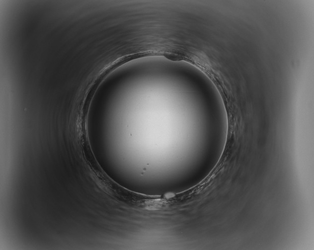 X0000088580050200705251146