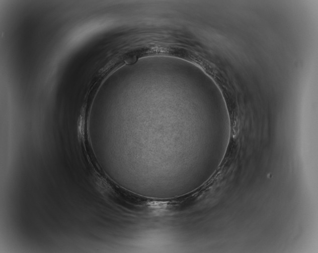 X0000088580052200705251146