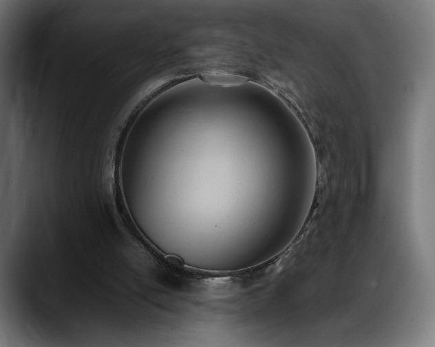 X0000088580054200705251146