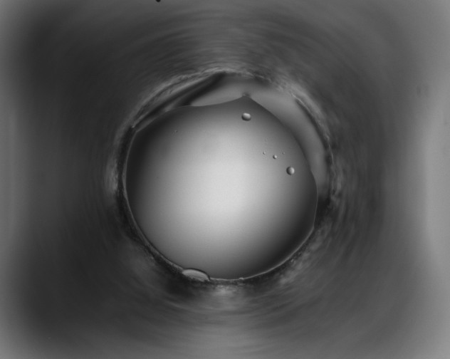 X0000088580060200705251146