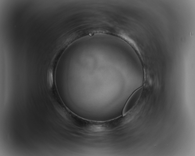 X0000088580061200705251146