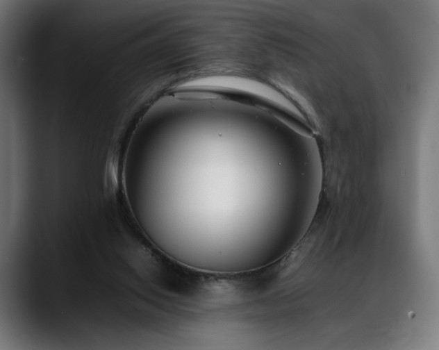 X0000088580062200705251146