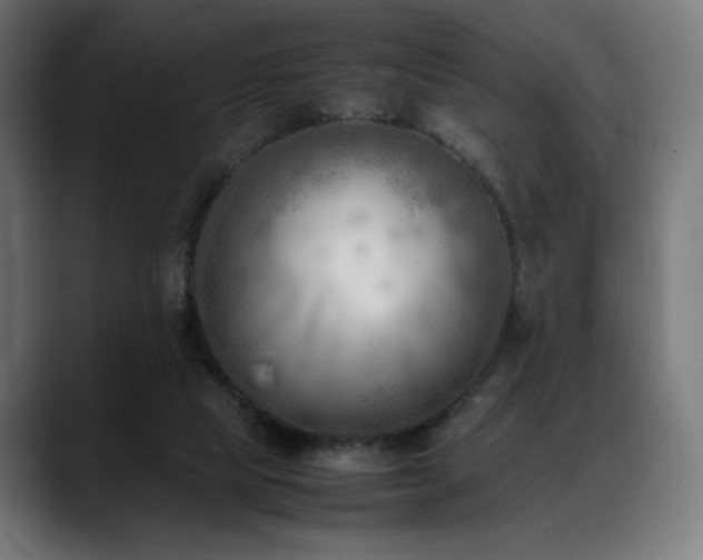 X0000088580065200705251146