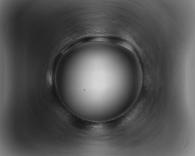 X0000088580068200705251146