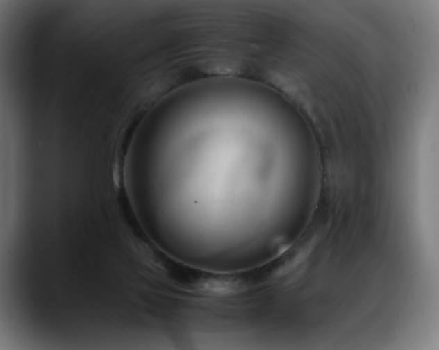 X0000088580069200705251146