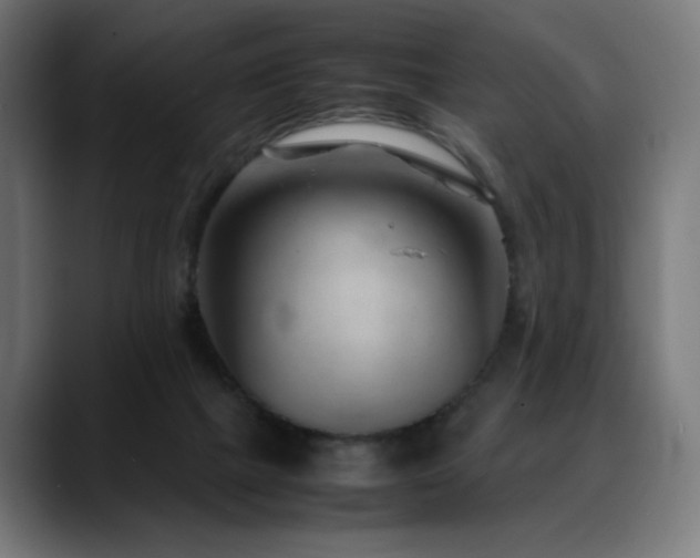 X0000088580073200705251146