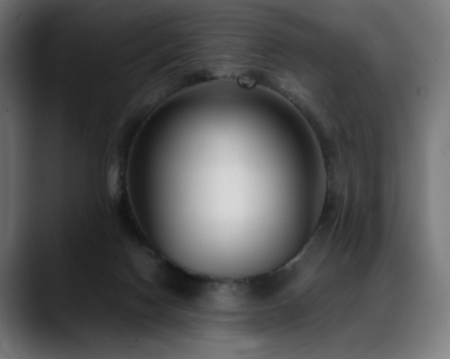 X0000088580074200705251146