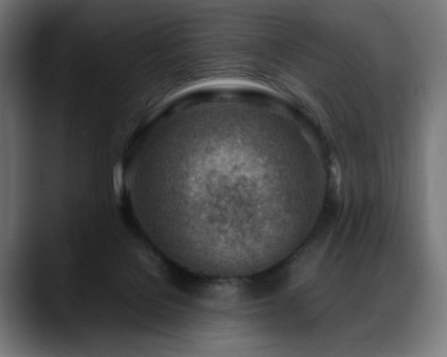 X0000088580076200705251146