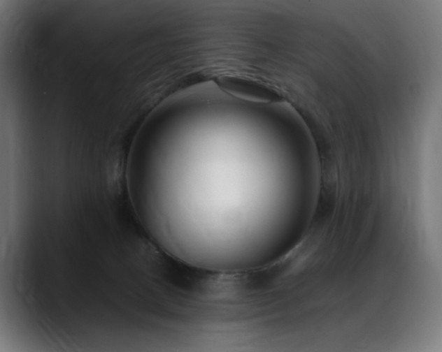 X0000088580082200705251146