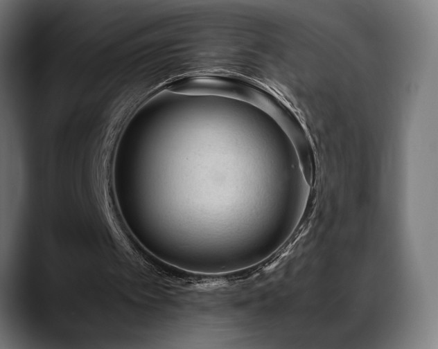 X0000088580097200705251146