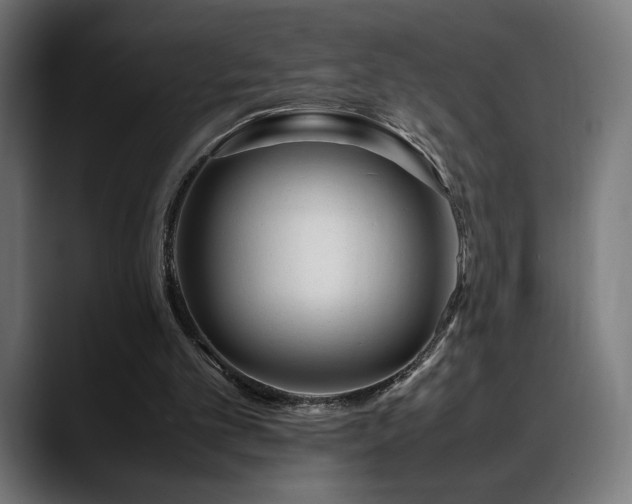 X0000088580101200705251146