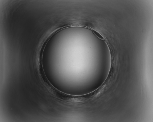 X0000088580103200705251146