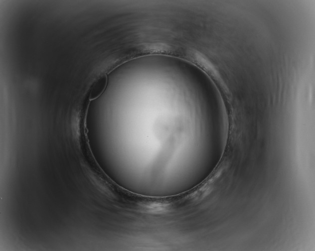 X0000088580106200705251146