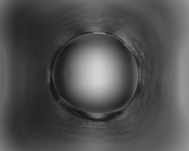 X0000088580109200705251146