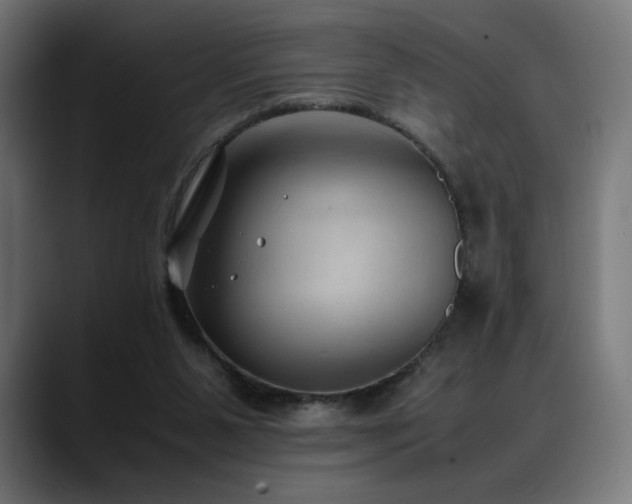 X0000088580111200705251146