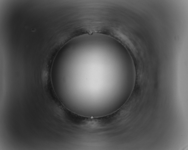 X0000088580113200705251146