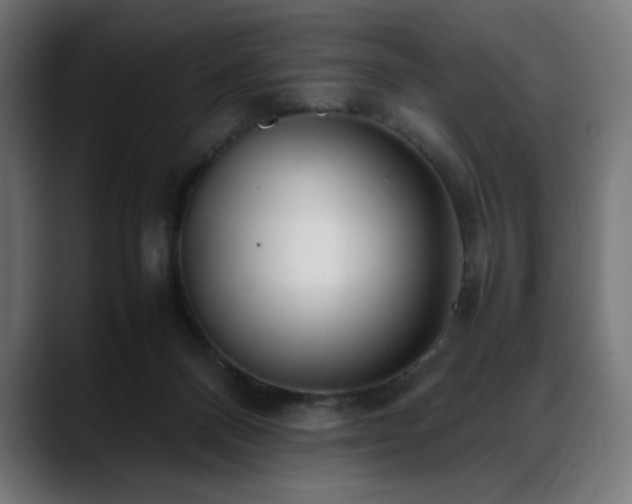 X0000088580120200705251146