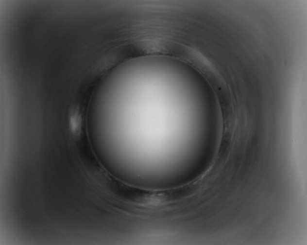 X0000088580124200705251145