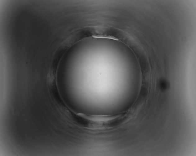 X0000088580129200705251145