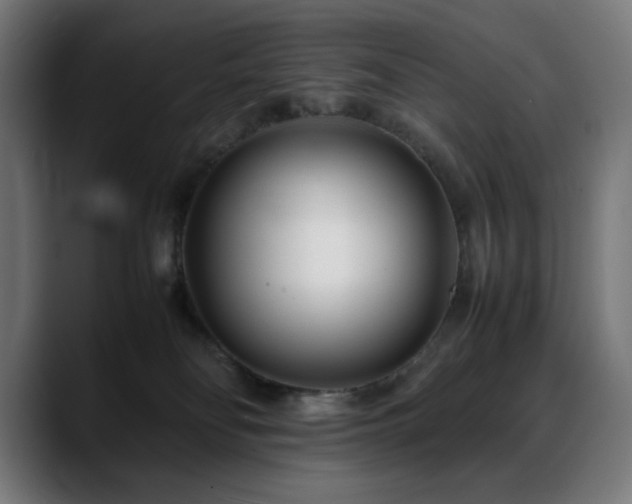 X0000088580134200705251145