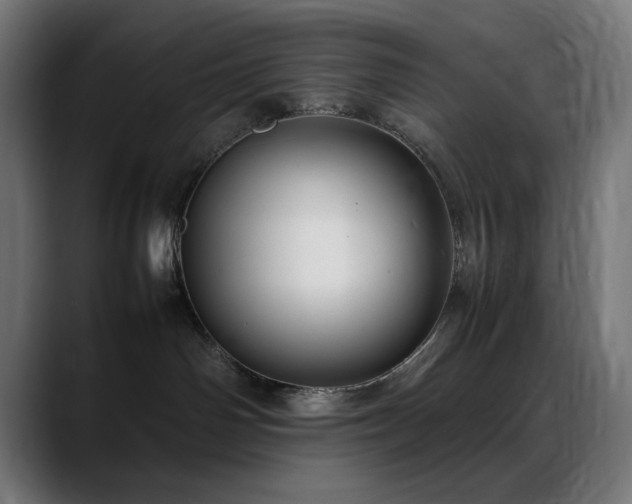 X0000088580142200705251145