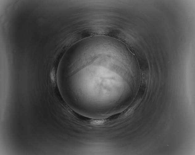 X0000088580143200705251145