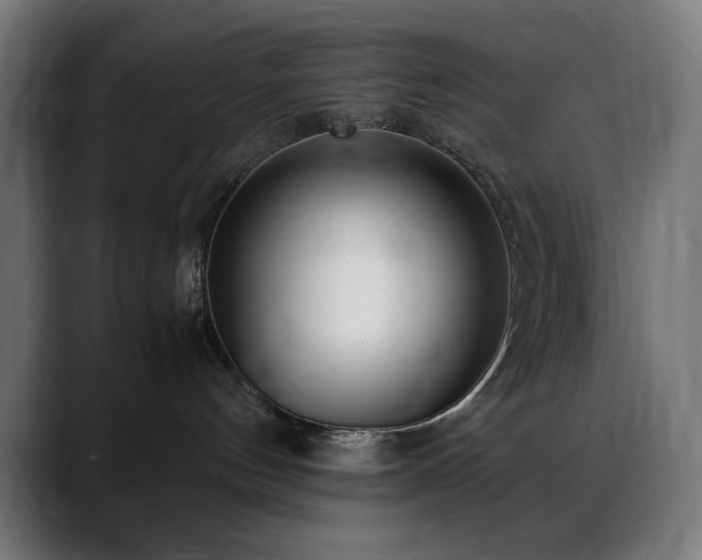 X0000088580144200705251145