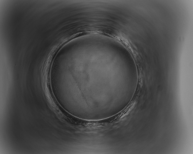 X0000088580145200705251145