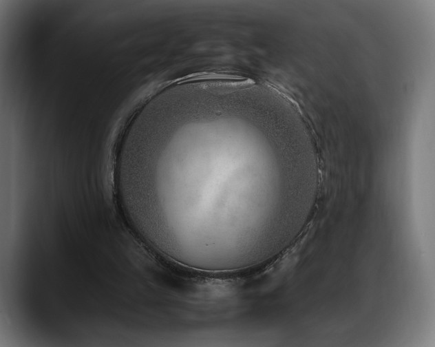 X0000088580149200705251145