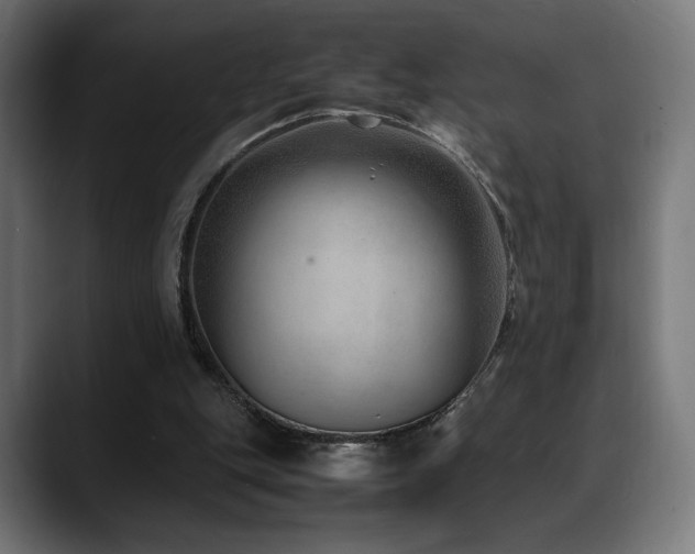 X0000088580151200705251145